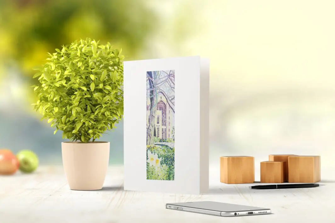 Carol Phillips - Professional Artist | White Rectangle Fine Art