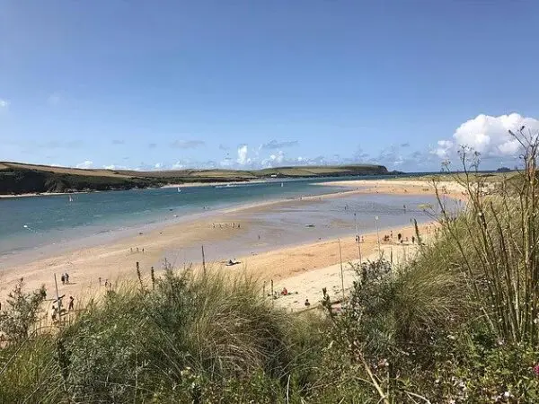 Carol Phillips - Professional Artist | White Rectangle Fine Art