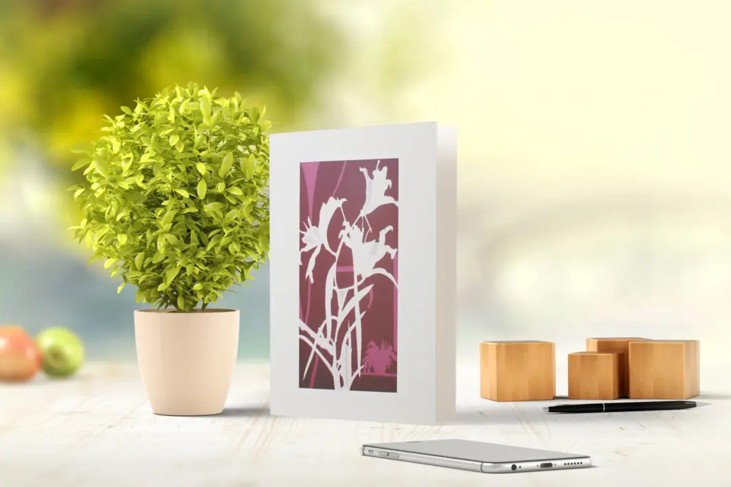 Carol Phillips - Professional Artist | White Rectangle Fine Art