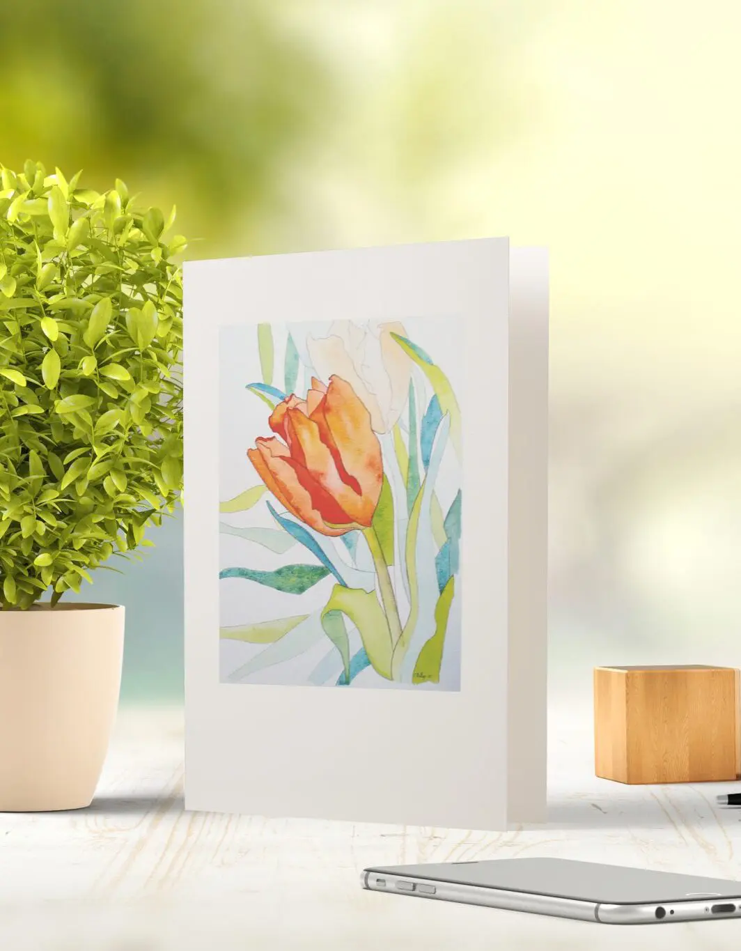 Carol Phillips - Professional Artist | White Rectangle Fine Art