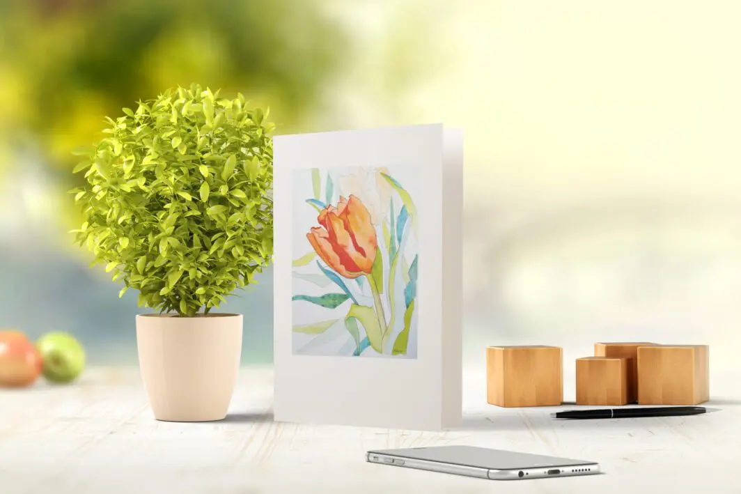 Carol Phillips - Professional Artist | White Rectangle Fine Art