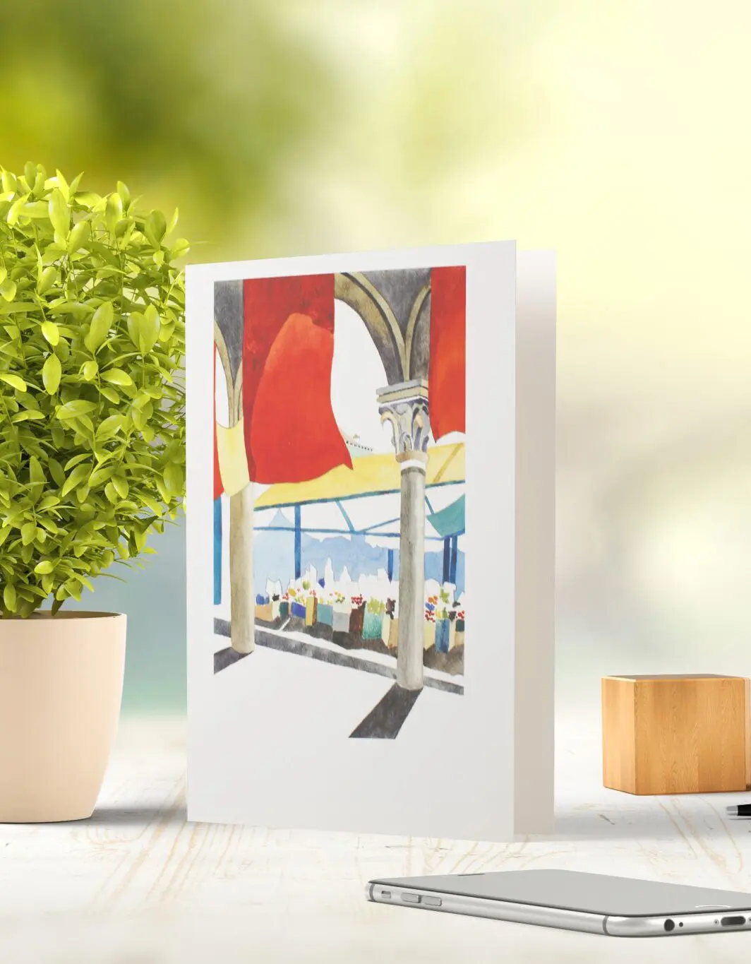 Carol Phillips - Professional Artist | White Rectangle Fine Art
